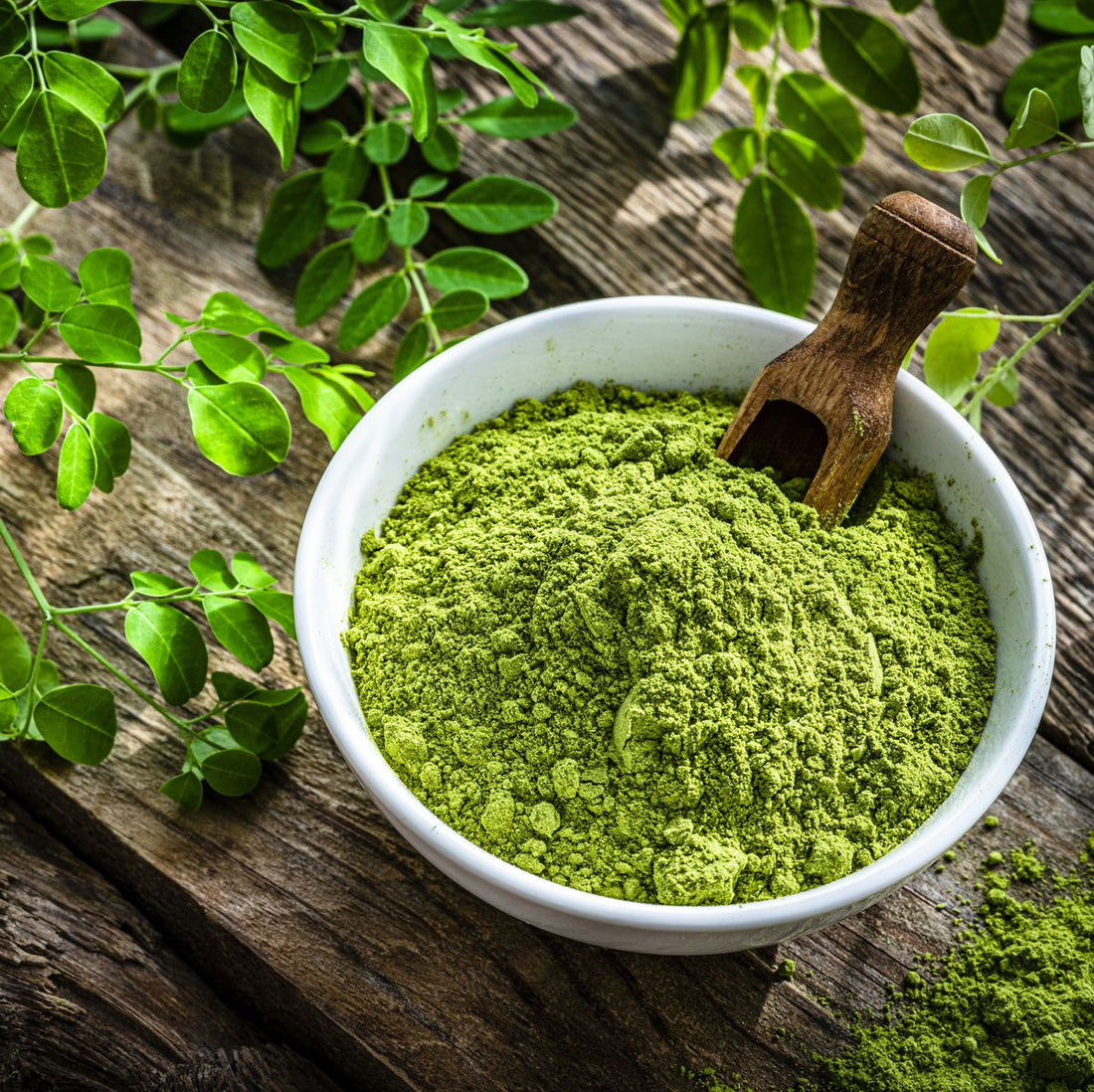 Moringa and it's Affect on your Body