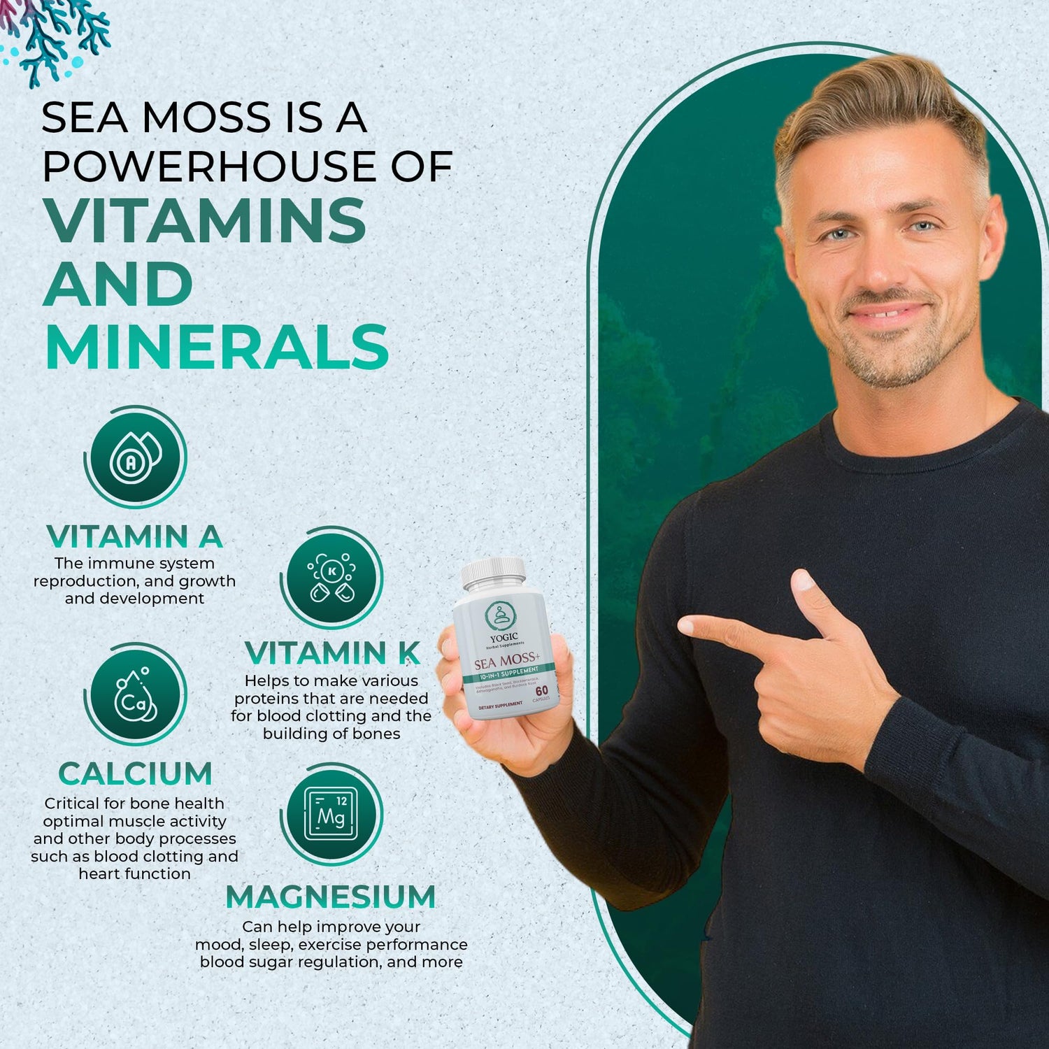 Sea Moss Complex